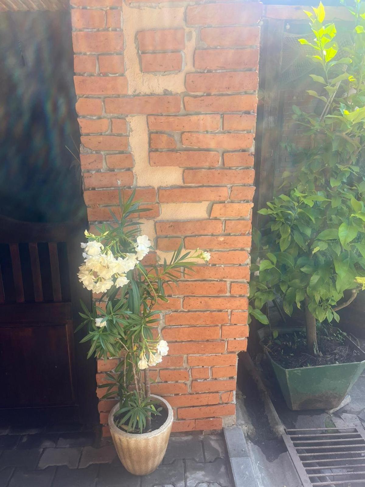 Casa De Oaspeti Dunarea La Cazane Dubova Bagian luar foto