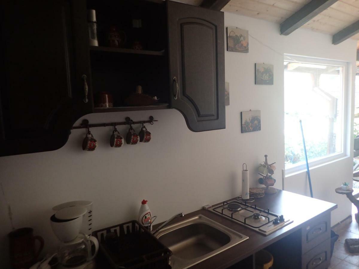 Casa De Oaspeti Dunarea La Cazane Dubova Bagian luar foto