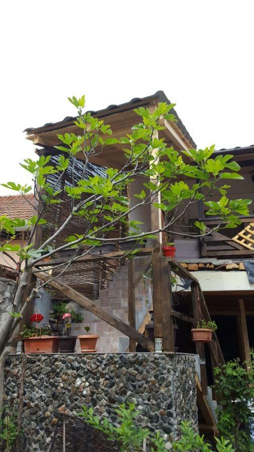 Casa De Oaspeti Dunarea La Cazane Dubova Bagian luar foto